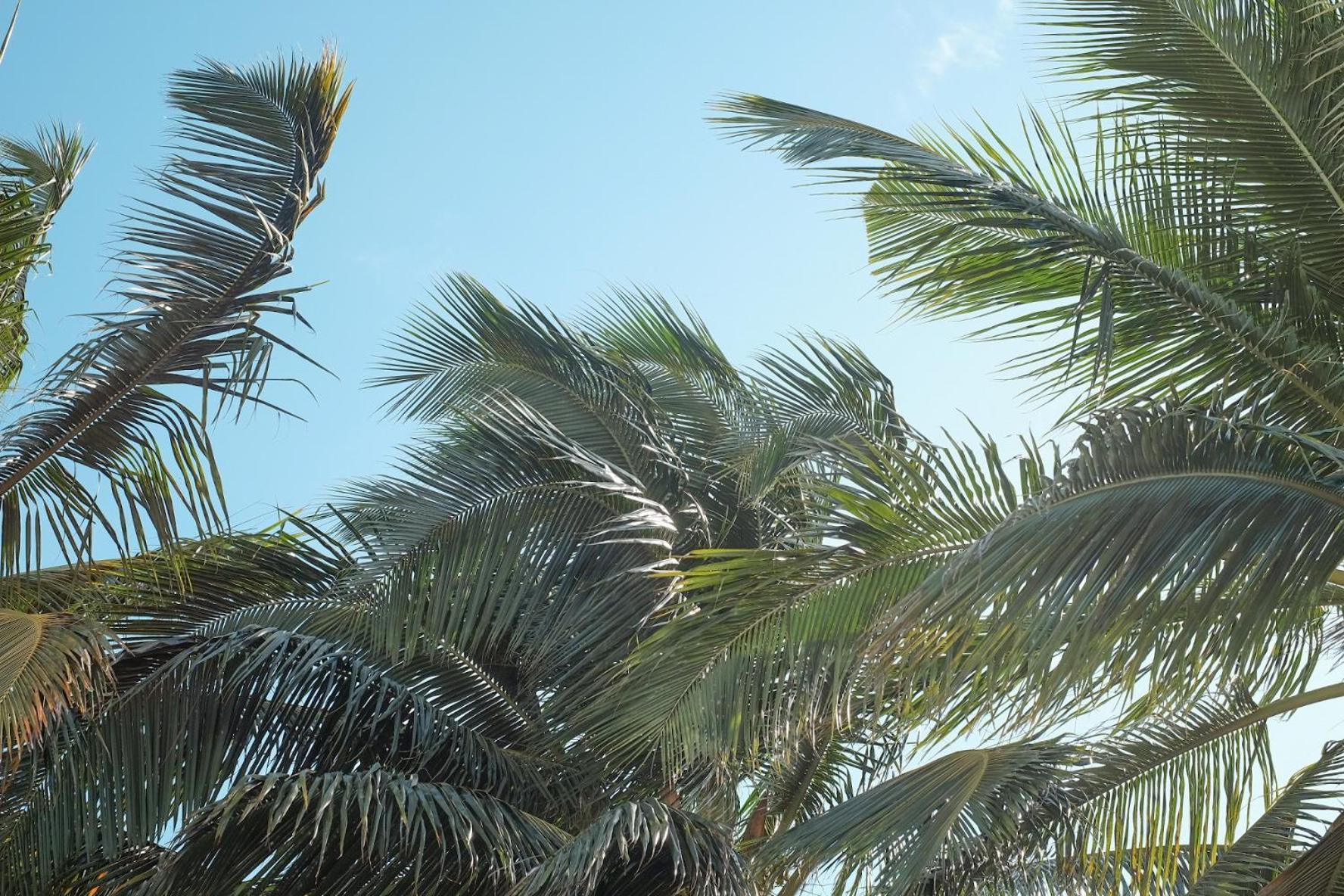 Chic Home With Private Pool, 1 Min To Beach カップ・マルールー エクステリア 写真